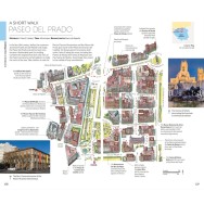 Madrid Top 10 Eyewitness Travel Guide